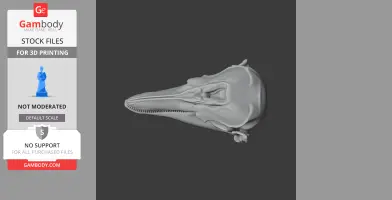 Finless Porpoise Skull - Skull Replica STL
