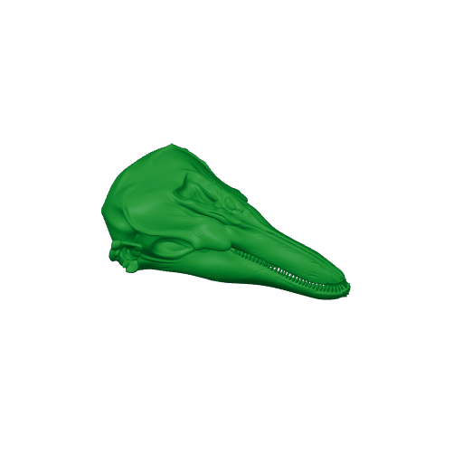 Finless Porpoise Skull.3mf