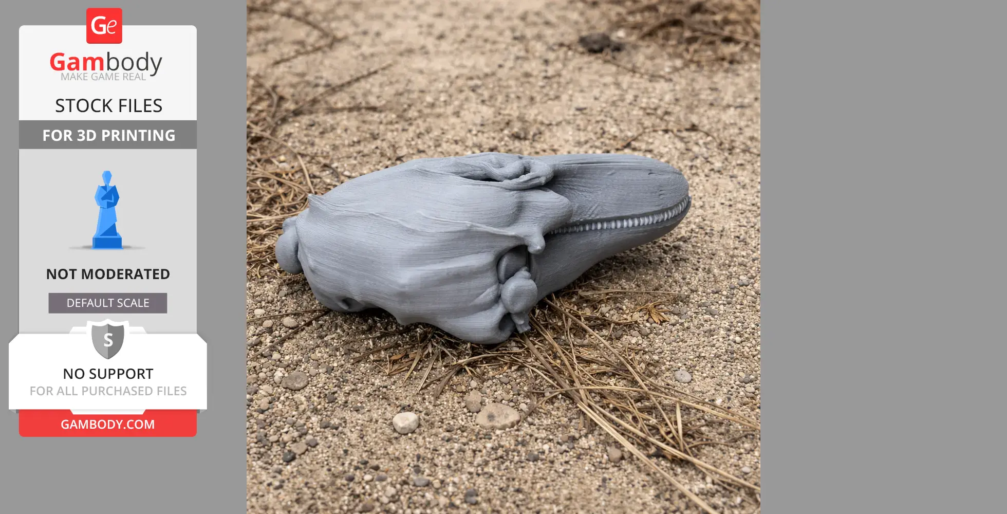 Finless Porpoise Skull - Skull Replica STL
