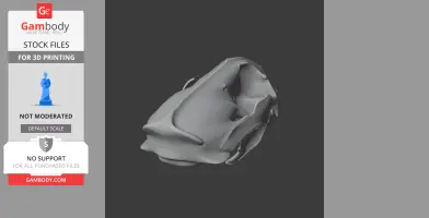 Giant Otter Shrew Skull - Skull Replica STL