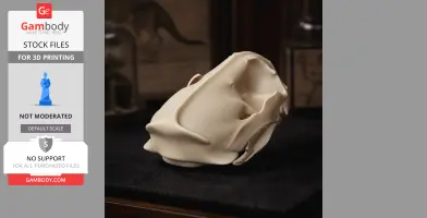 Giant Otter Shrew Skull - Skull Replica STL