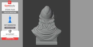 Rear view of a 3D-printed bust depicting a historical figure with flowing hair and a helmet.