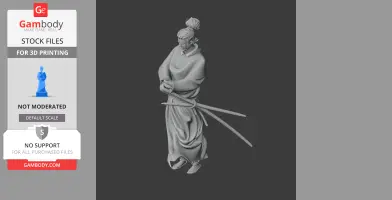 Miyamoto Musashi Samurai - Historical Warrior STL