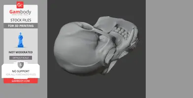 A detailed 3D model of a gibbon skull, suitable for 3D printing, shown from a side view.