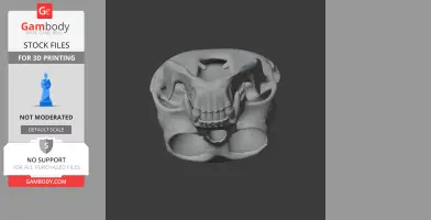 3D model of a gibbon skull, front view, suitable for 3D printing.