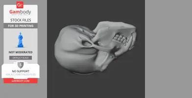 3D model of a gibbon skull, showcasing detailed teeth and bone structure for printing.