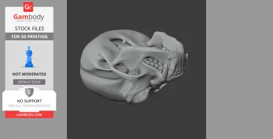 3D model of a gibbon skull, displaying detailed bone structure for 3D printing.