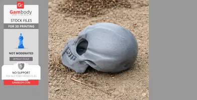 A 3D-printed gray gibbon skull replica on sandy ground.