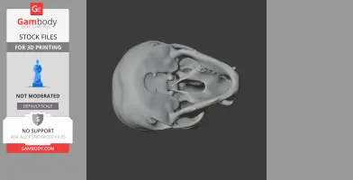 3D model of a gibbon skull viewed from above, designed for 3D printing.