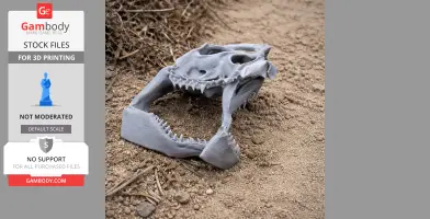 Great White Shark Skull - Skull Replica STL