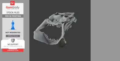 Great White Shark Skull - Skull Replica STL