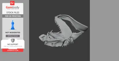 Great White Shark Skull - Skull Replica STL