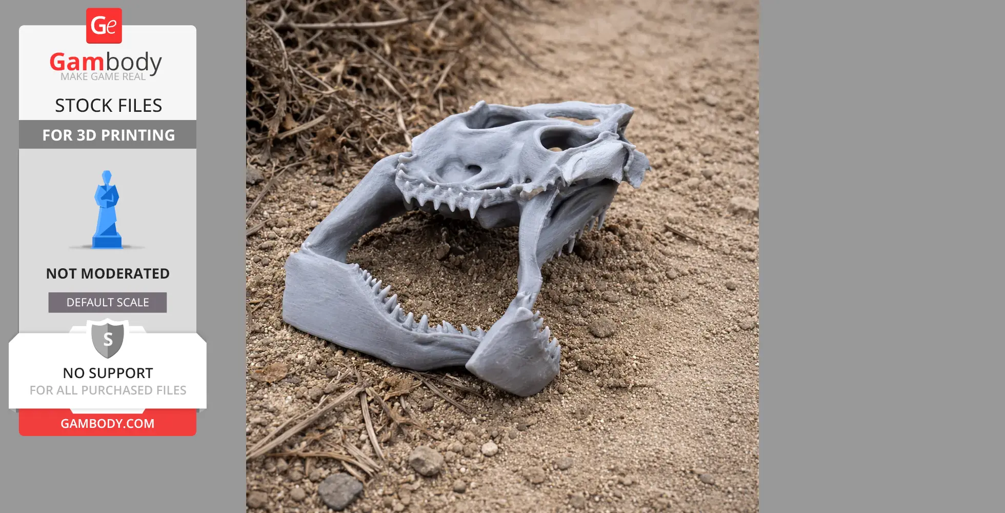 Great White Shark Skull - Skull Replica STL