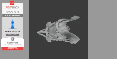 Great White Shark Skull - Skull Replica STL