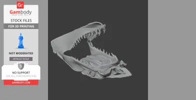 Great White Shark Skull - Skull Replica STL