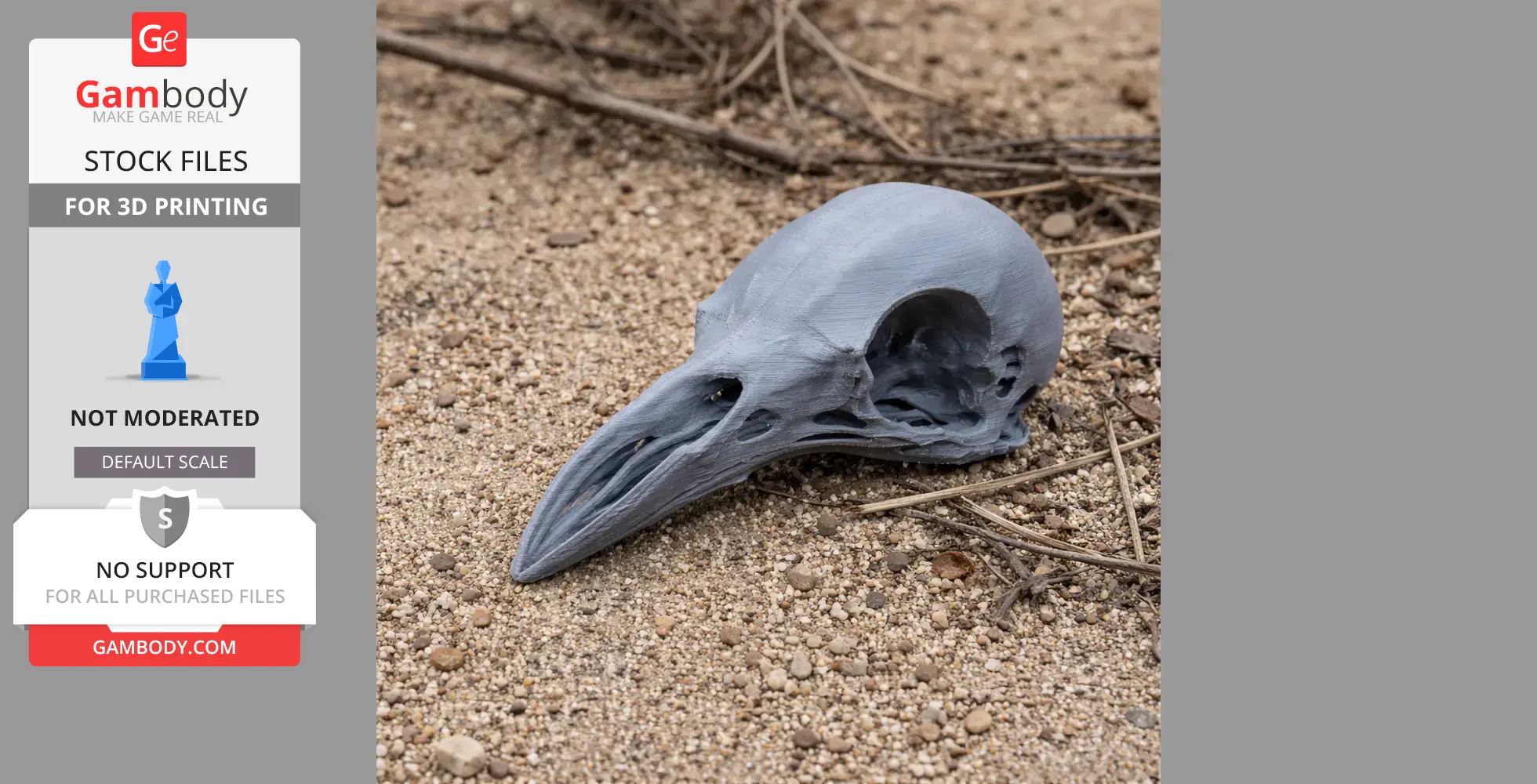 Greater Bird-of-paradise Skull - Skull Replica STL