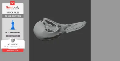 Greater Bird-of-paradise Skull - Skull Replica STL