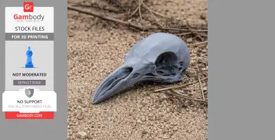 Greater Bird-of-paradise Skull - Skull Replica STL