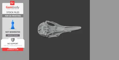 Greater Bird-of-paradise Skull - Skull Replica STL