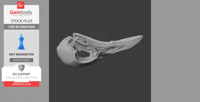 Greater Bird-of-paradise Skull - Skull Replica STL