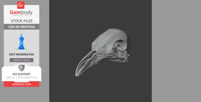 Greater Bird-of-paradise Skull - Skull Replica STL