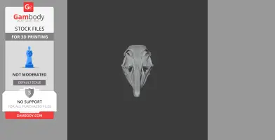 Greater Rhea Skull - Skull Replica STL