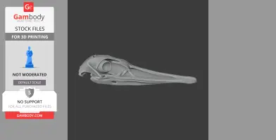 Greater Rhea Skull - Skull Replica STL