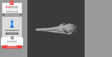 Greater Rhea Skull - Skull Replica STL