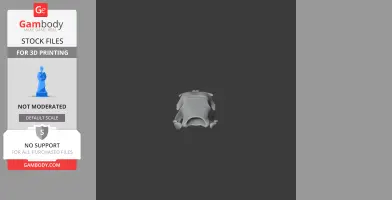 Greater Rhea Skull - Skull Replica STL