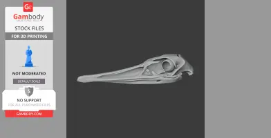 Greater Rhea Skull - Skull Replica STL