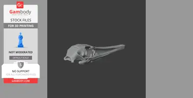 Greater Rhea Skull - Skull Replica STL