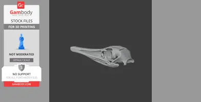 Greater Rhea Skull - Skull Replica STL