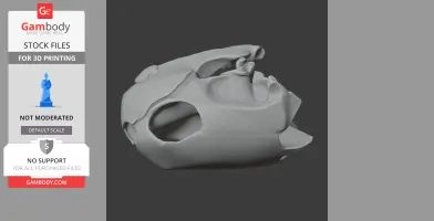 Green Sea Turtle Skull - Skull Replica STL
