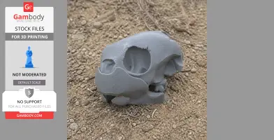 Green Sea Turtle Skull - Skull Replica STL