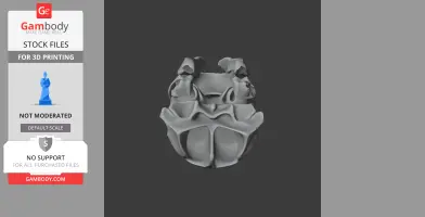Green Sea Turtle Skull - Skull Replica STL