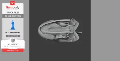 Green Sea Turtle Skull - Skull Replica STL