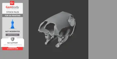 Green Sea Turtle Skull - Skull Replica STL