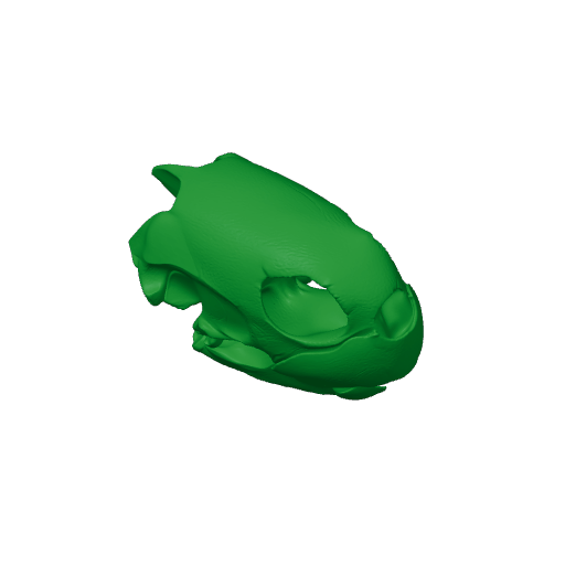 Green Sea Turtle Skull.3mf