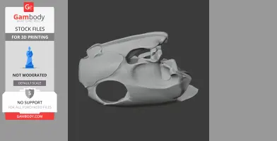 Green Sea Turtle Skull - Skull Replica STL