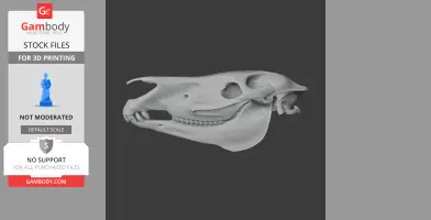 Grevy's Zebra Skull - Skull Replica STL