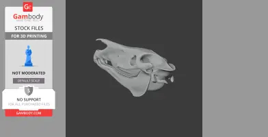 Grevy's Zebra Skull - Skull Replica STL