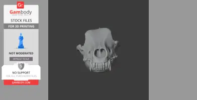 3D model of a grey wolf skull, showcasing detailed teeth and hollow nasal cavity.