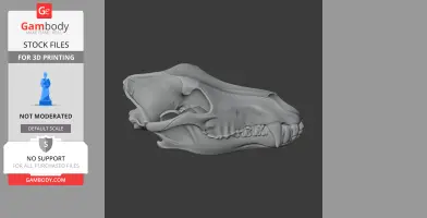 3D model of a detailed grey wolf skull, side view, for 3D printing.
