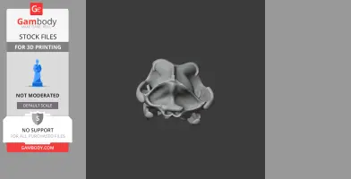 3D model of a grey wolf skull replica, front view, on a grey background.