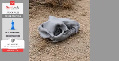 A 3D-printed grey wolf skull replica resting on sandy ground with sparse grass.