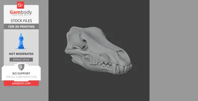 3D model of a grey wolf skull, showing detailed bone structure and teeth, angled on a dark background.