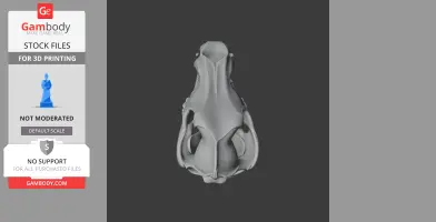 Grey wolf skull 3D model, top view, showing detailed bone structure, ready for 3D printing.