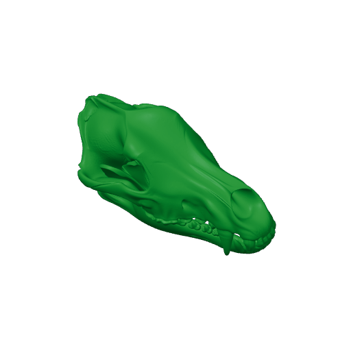 Grey Wolf Skull.3mf