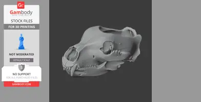 3D model of a grizzly bear skull, detailed and prepared for 3D printing.