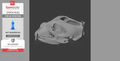 3D model of a grizzly bear skull, displayed on a dark background, suitable for 3D printing.